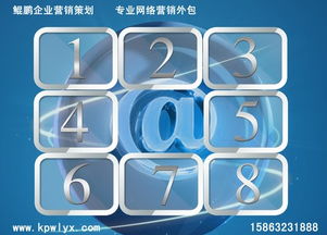 臨沂互聯(lián)網(wǎng)營(yíng)銷與軟件銷售推薦公司指南