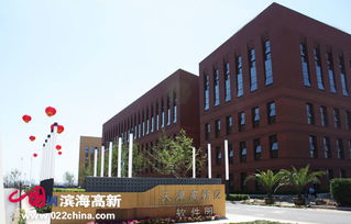 軟件企業(yè)337家領(lǐng)跑市場，濱海新區(qū)引領(lǐng)全市軟件外包服務新篇章
